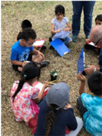 students observing plants 